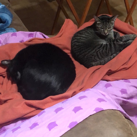 Meet your Posher, Wendie - Picture 9 of 9